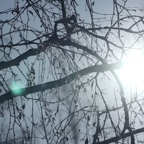 Photo #12724132