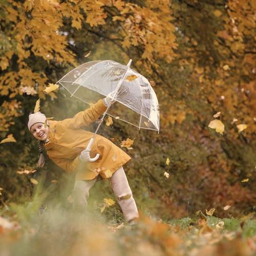 Photo #12724347