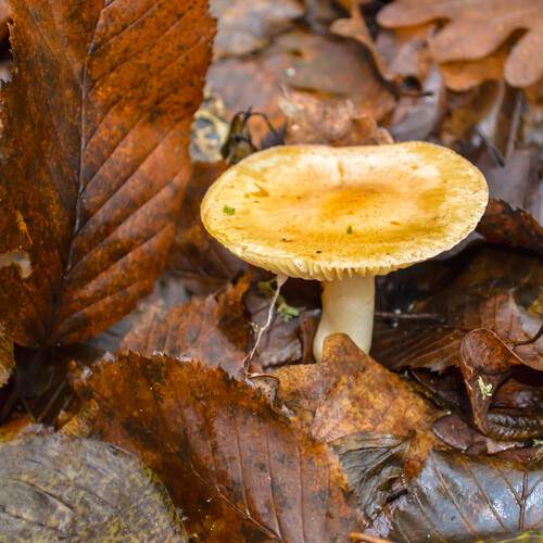 Photo #12724348