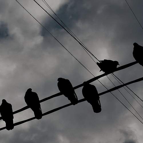 Photo #12724483