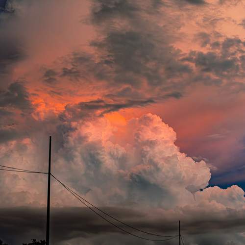 Photo #12724490