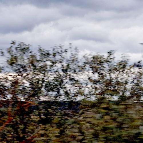 Photo #12724530
