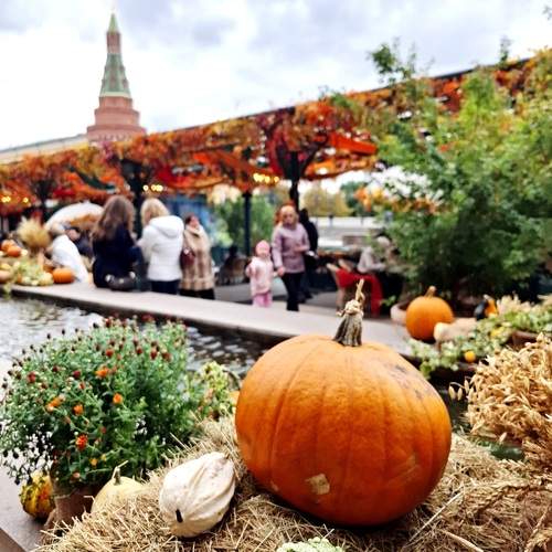 Photo #12724549