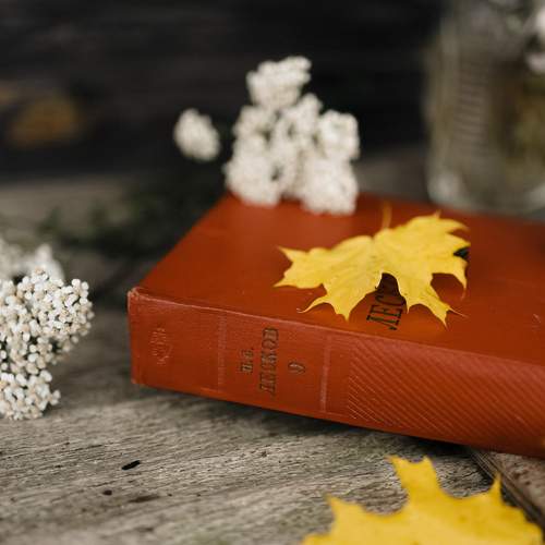 Photo #12724583