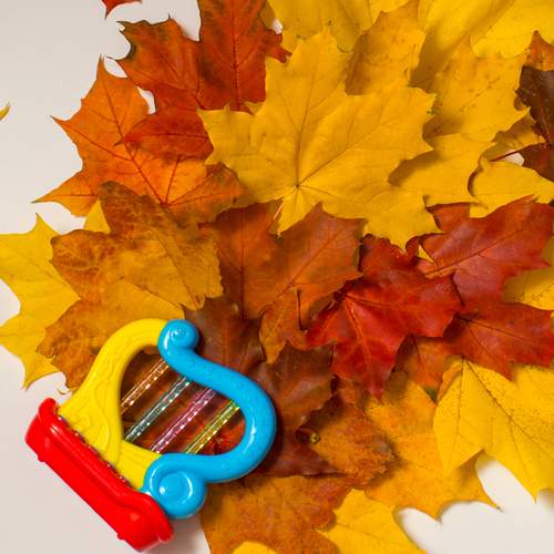Photo #12724629