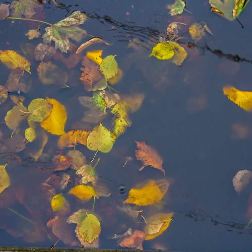 Photo #12724690