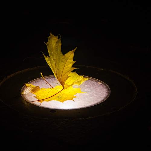 Photo #12724696