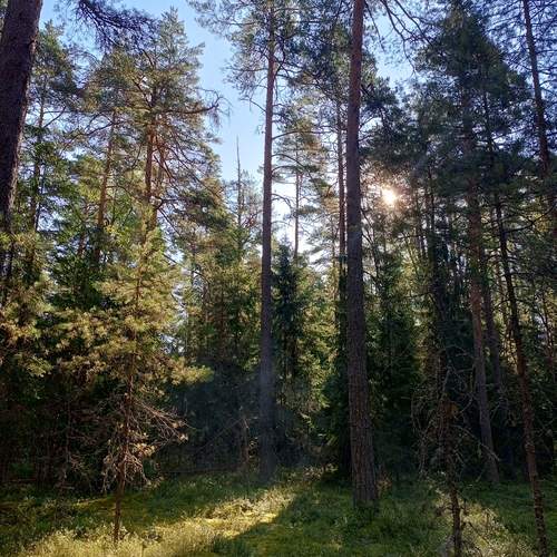 Photo #12724707