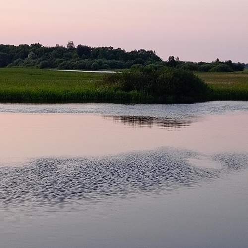 Photo #12724709