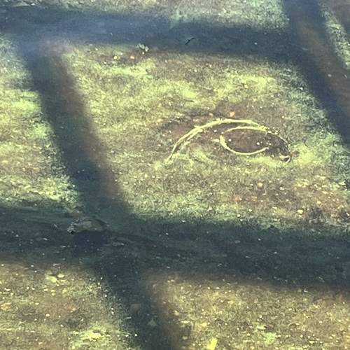 Photo #12724826