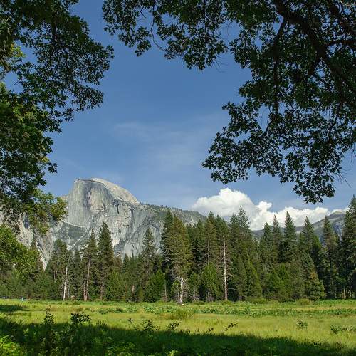 Photo #12725069