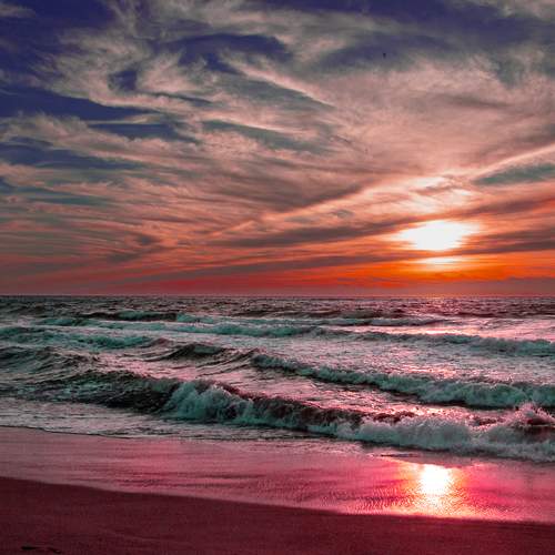 Photo #12725071