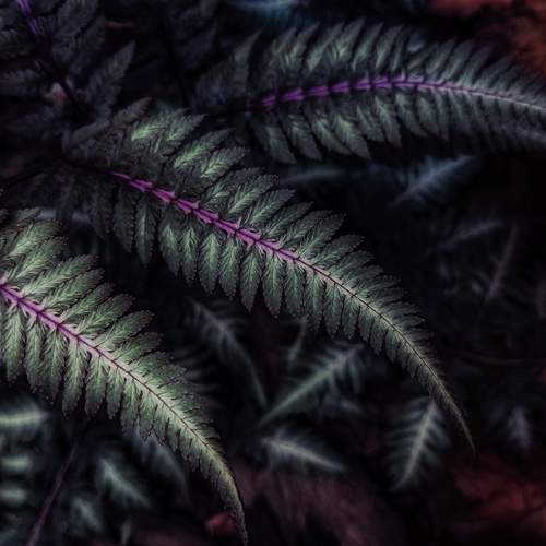 Photo #12725650