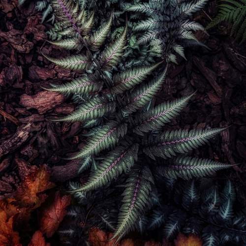 Photo #12725659