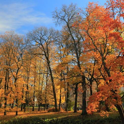 Photo #12725673