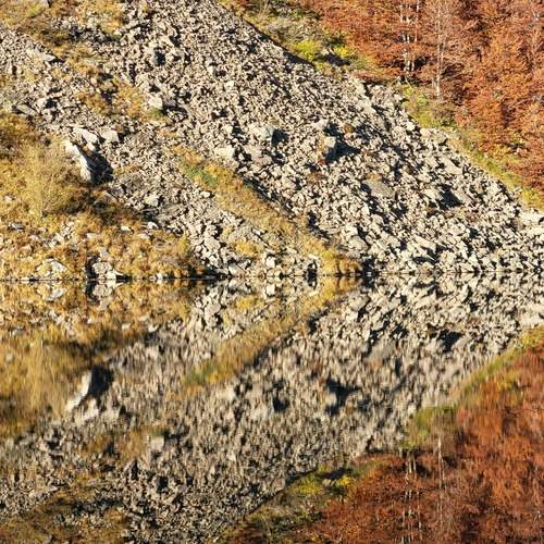 Фотография #12725708