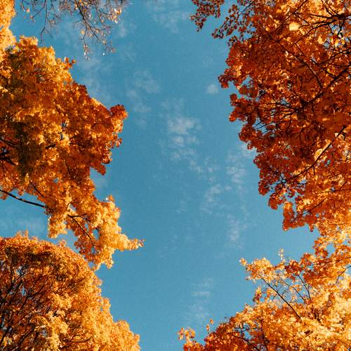 Photo #12725833