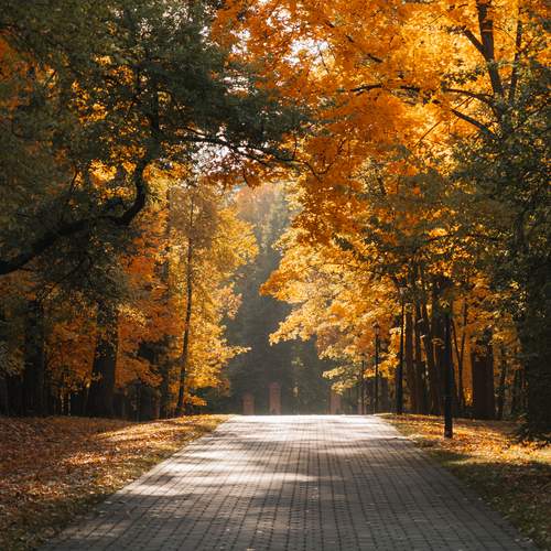 Photo #12725838