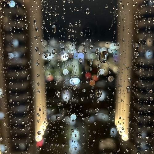 Photo #12725917