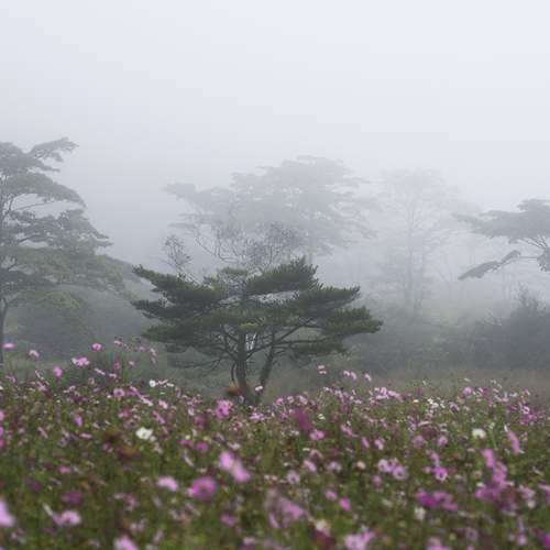 Фотография #12726609