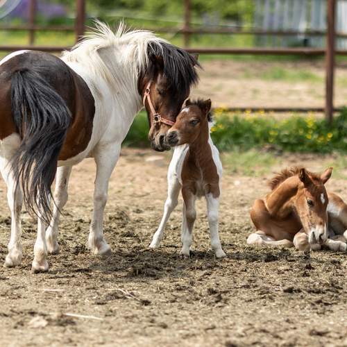 Photo #12726835