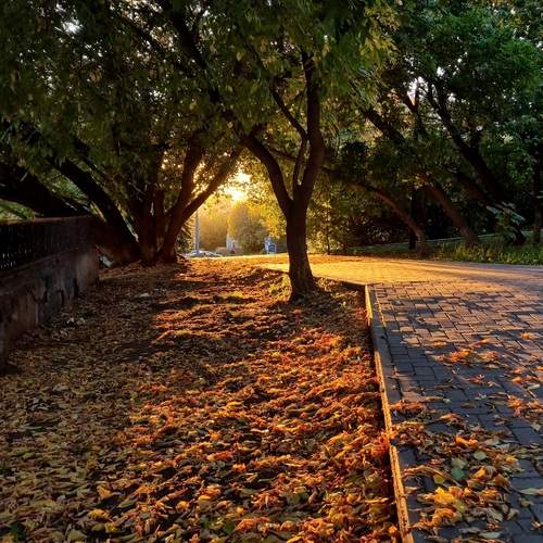 Фотография #12726978