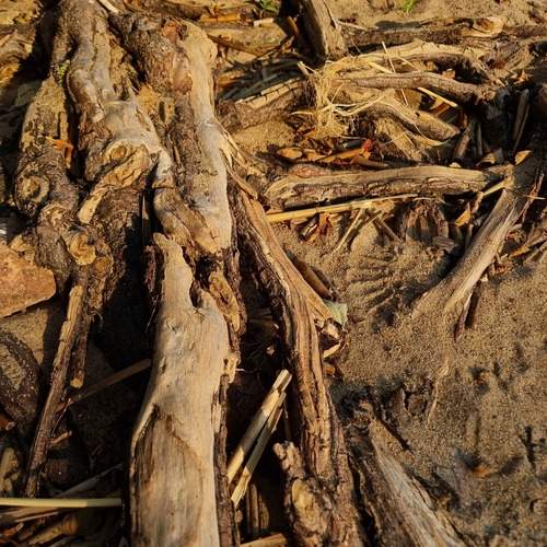 Фотография #12726980