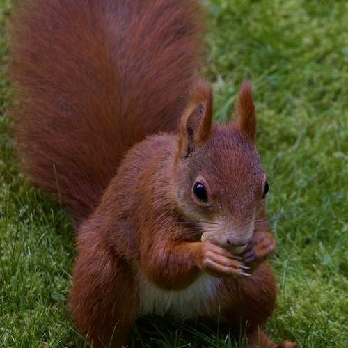 Photo #12727024