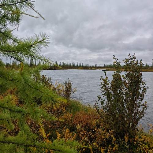 Photo #12727088