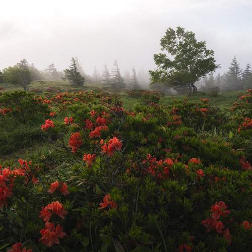 Фотография #12727155