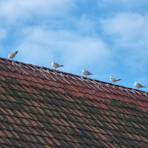 Photo #12727160