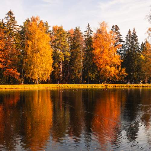 Photo #12727205