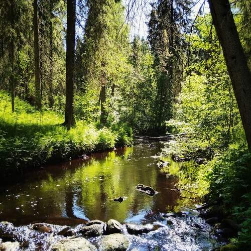 Photo #12727431