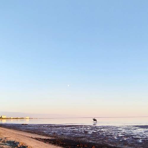 Photo #12727520