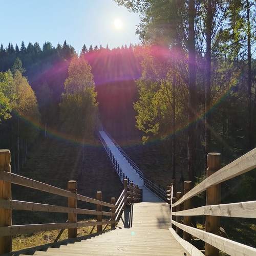 Photo #12727522