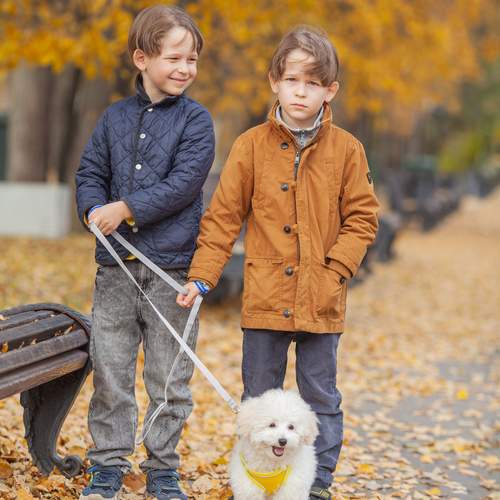 Photo #12727604