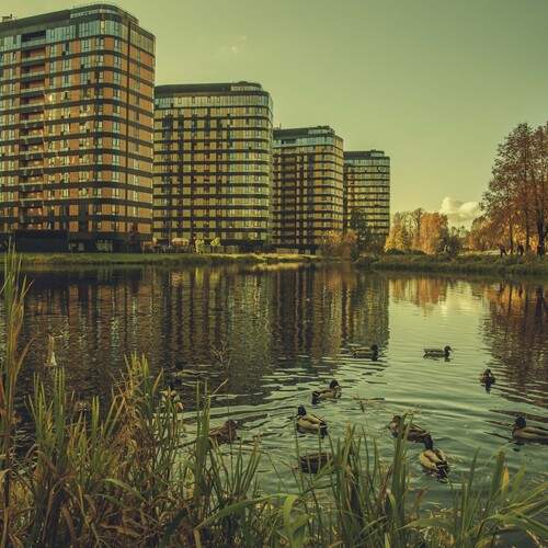 Photo #12728033