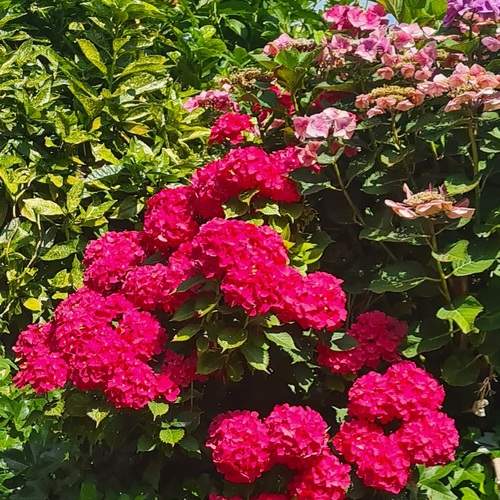 Photo #12728393