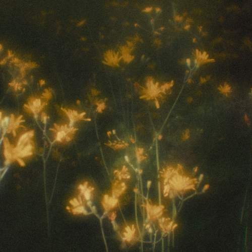 Photo #12728424