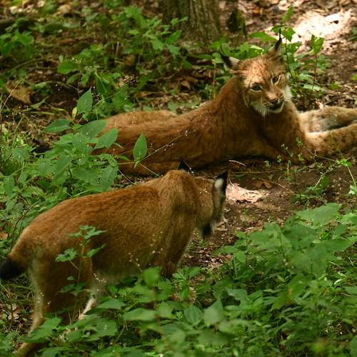 Photo #12728496