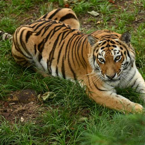 Photo #12728497