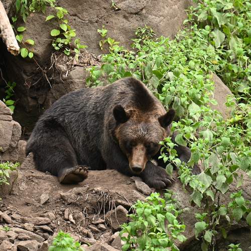 Photo #12728498