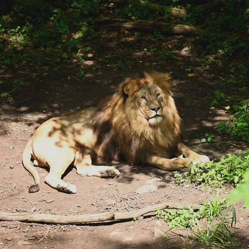 Photo #12728499