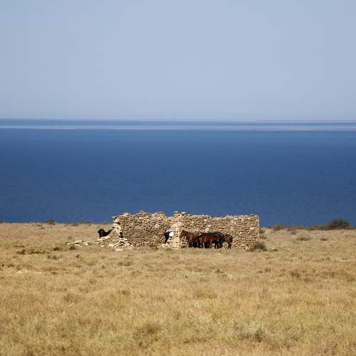 Photo #12729132