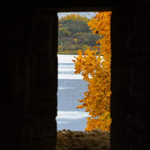 Photo #12729453