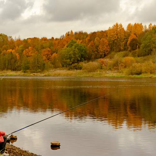 Photo #12729538