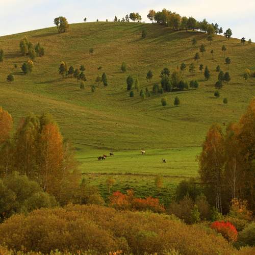 Photo #12729705