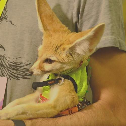 Photo #12729974