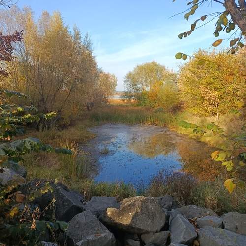Photo #12730094