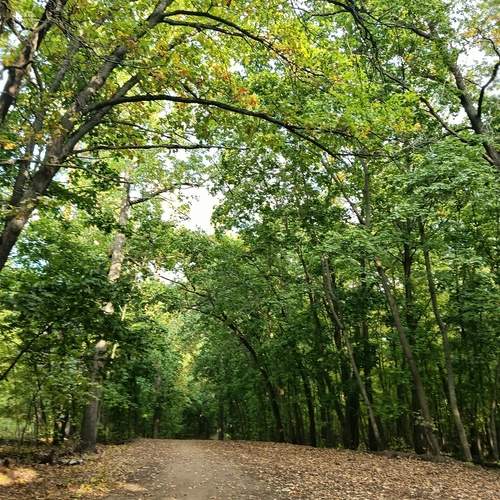 Photo #12730109